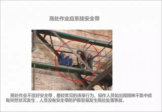 640.webp (11).jpg