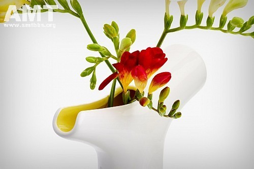 medium_04a8d13dbbd447528af917854e648c0c.jpg